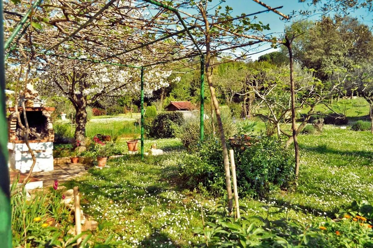 Apartment Rosa 2 Ровинь